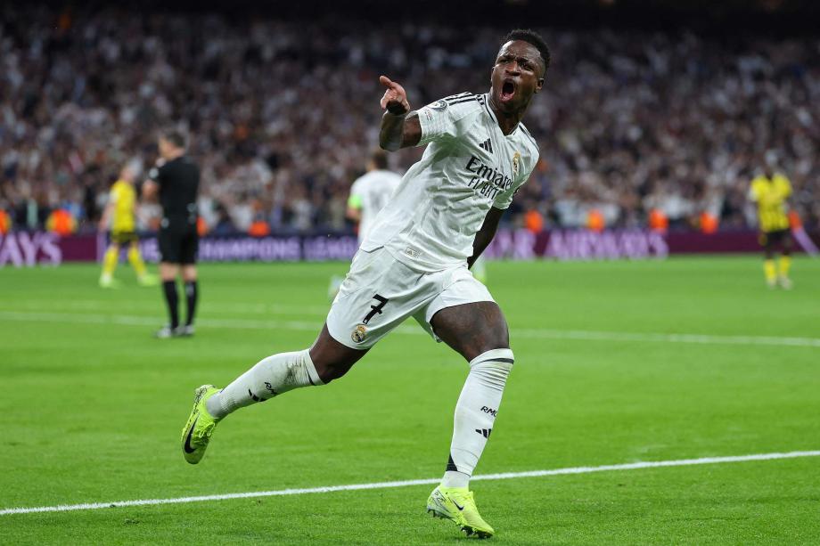 这一站的参 这一站的参