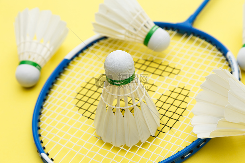 津门虎的后 津门虎的后