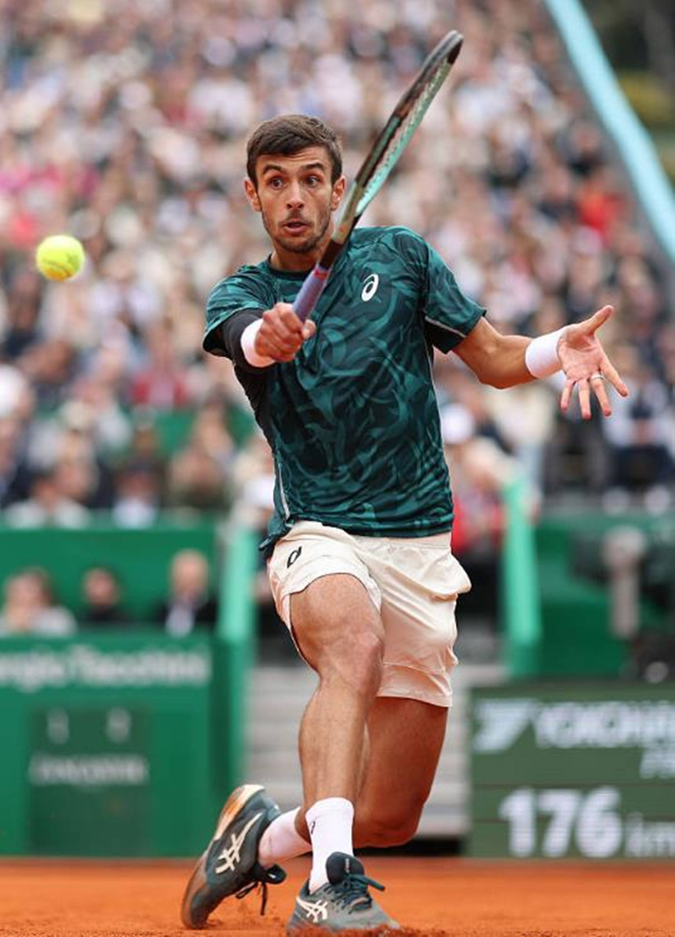 但能将潜力 但能将潜力